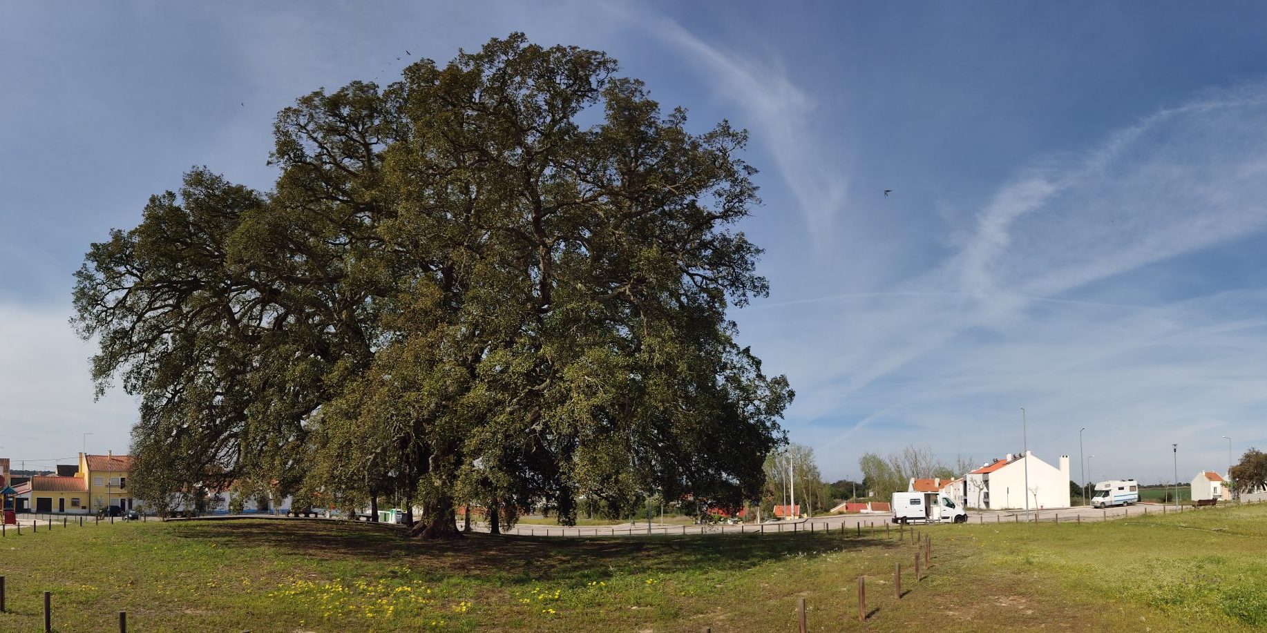 PANO_20220417_102114