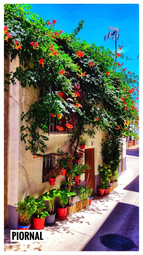 Casa adornada de flores en las calles de Piornal