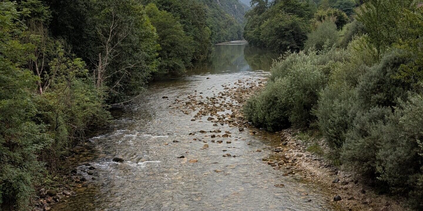 PXL_20250818_160840942 Mier